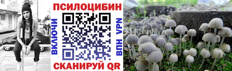 Галлюциногенные грибы Psilocybine cubensis  Купить  Ртищево 