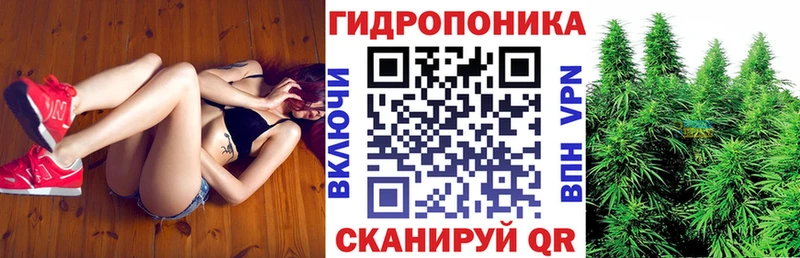 Шишки марихуана планчик  Купить закладки  Ртищево 